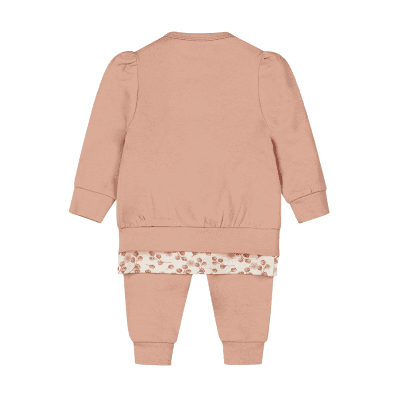 dirkje meisjes baby longsleeve vest broek oudroze set dirkje meisjes baby longsleeve vest broek oudroze set - Afbeelding 3